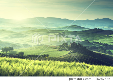Early spring morning in Tuscany, Italy 16287486