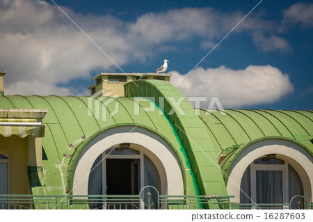 seagull sitting on rooftop of classic building seagull sitting on rooftop of classic building 16287603