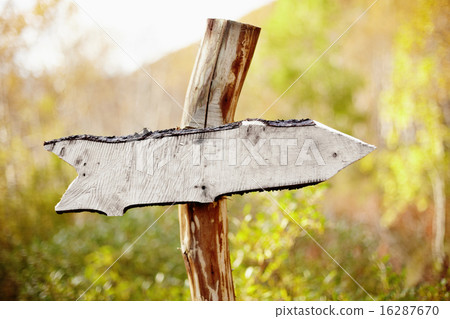 Rough wooden pointer 16287670