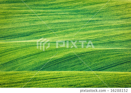 Abstract pattern texture of rolling fields Abstract pattern texture of rolling fields 16288152