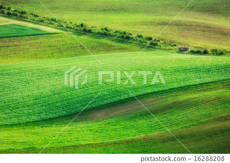 Rolling landscape of South Moravia Rolling landscape of South Moravia 16288208