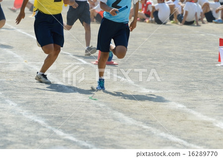 sports festival sports festival 16289770