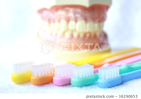 Dental examination 16290653