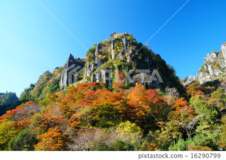 Autumn Yayakii 16290799