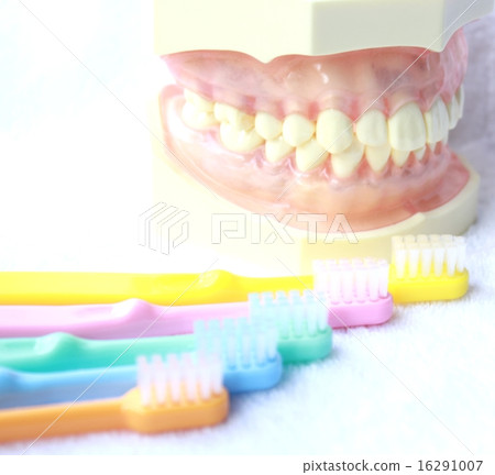 Caries prevention 16291007