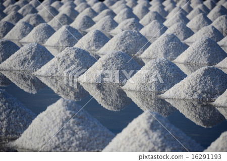 Salt Mine in Salt farm and reflections 16291193