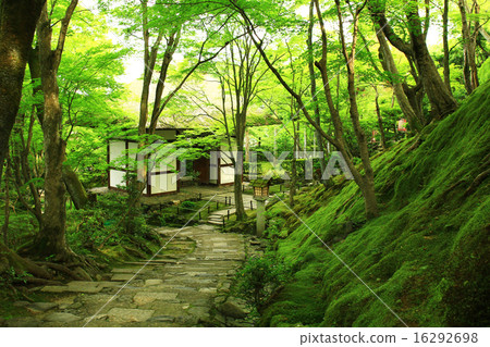 Temple of the fresh green 16292698