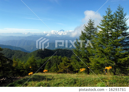 從Kumogori山(東京奧多摩鎮)看富士山 從Kumogori山(東京奧多摩鎮)看富士山 16293781