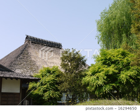 足利學校 足利學校 16294650