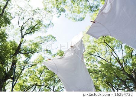 Fresh laundry image T-shirt 16294723