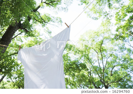 Fresh laundry image T-shirt 16294760