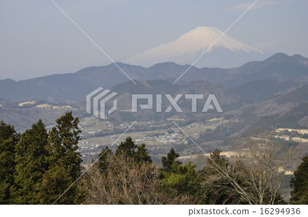 來自Nanohana的富士山 來自Nanohana的富士山 16294936