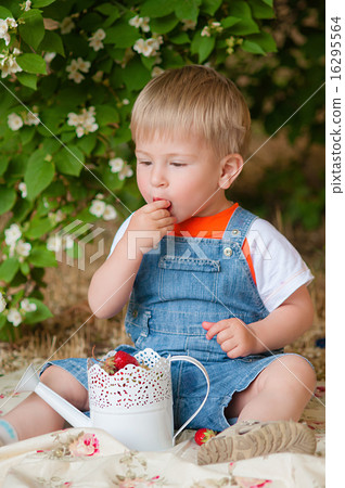 Little boy in the summer with strawberries in hand Little boy in the summer with strawberries in hand 16295564