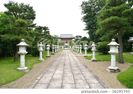 Renpa-jitsu birth time special album Motoyama 16295793