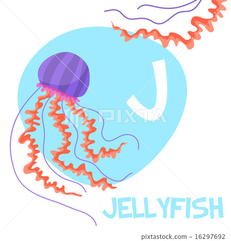 Funny cartoon animals vector alphabet letter set for kids. J is Jellyfish   16297692