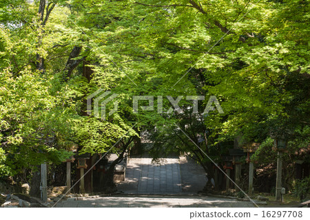 Hiraoka Horinji Hiraoka Horinji 16297708