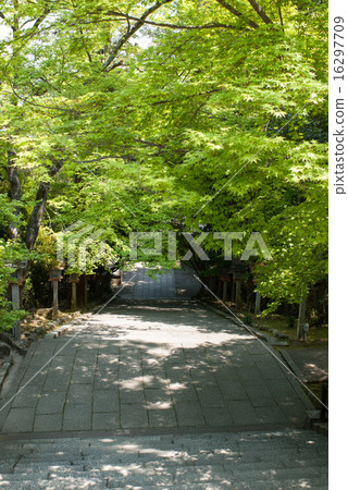 Hiraoka Horinji Hiraoka Horinji 16297709