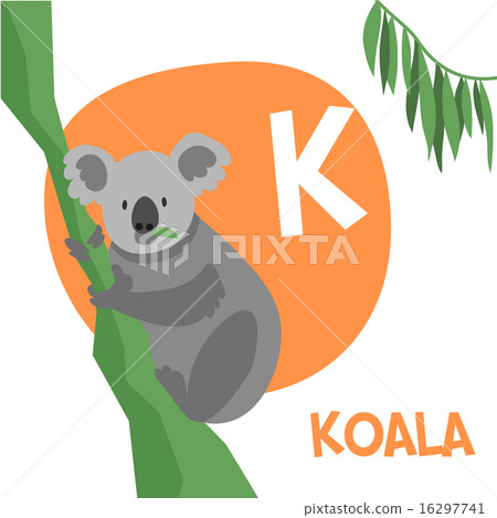 Funny cartoon animals vector alphabet letter set for kids. K is Koala. Funny cartoon animals vector alphabet letter set for kids. K is Koala. 16297741