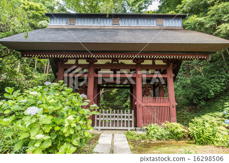 The Emperor Maohepyo The Emperor Maohepyo 16298506