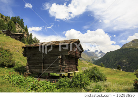 高山草原 16298650