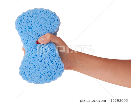 sponge sponge 16298693