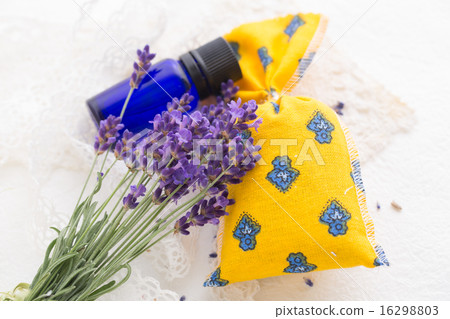 lavender lavender 16298803