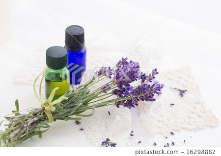 lavender 16298882