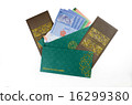 Duit raya isolated on white background 16299380