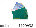 Duit raya isolated on white background 16299381
