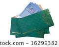 Duit raya isolated on white background 16299382