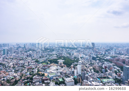 Rainyu天空在東京 16299688