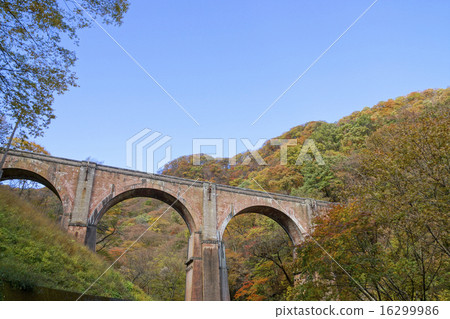 Usui Pass Glasses Bridge 16299986