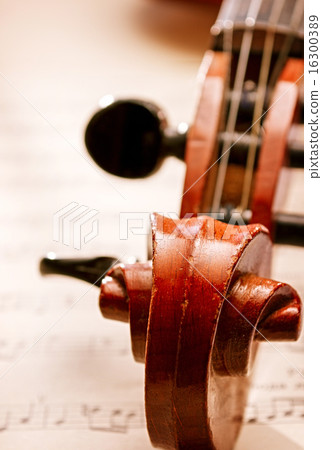 Close Up of Violin Scroll and Pegbox Close Up of Violin Scroll and Pegbox 16300389