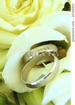 Wedding rings on rose 16300983