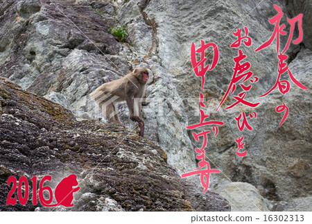 Monkey on the cliff Monkey on the cliff 16302313