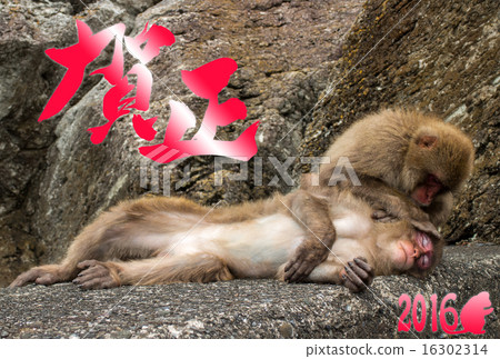 Relaxing monkey boss 16302314