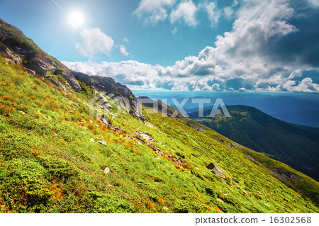 Mountain range  in summer 16302568