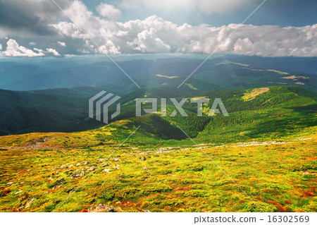 Mountain range  in summer 16302569
