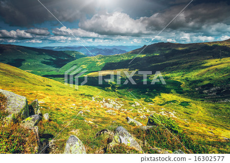 Mountain landscape in summer 16302577