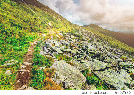 Mountain path in Carpathians, Ukraine. 16302580