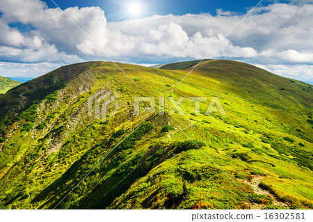 Mountain path in Carpathians, Ukraine. Mountain path in Carpathians, Ukraine. 16302581