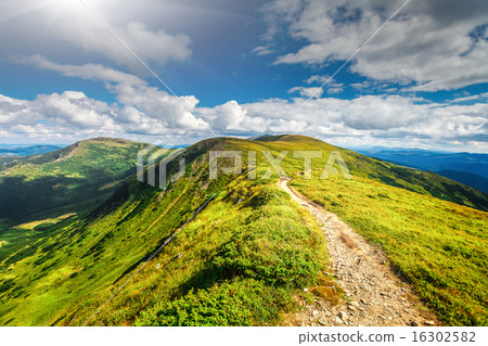 Mountain path in Carpathians, Ukraine. Mountain path in Carpathians, Ukraine. 16302582