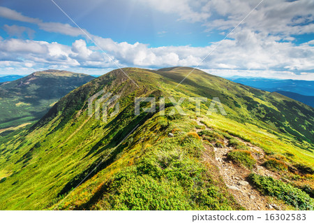 Mountain path in Carpathians, Ukraine. 16302583