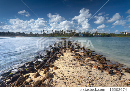 Tropical island Tropical island 16302674