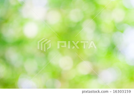 Green leaf boken blur for natural background 16303159