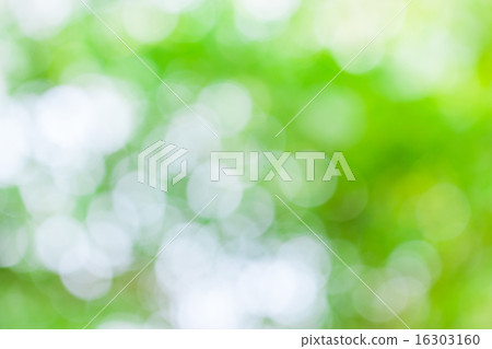 Green leaf boken blur for natural background 16303160