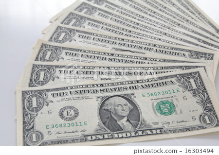 American dollar 16303494
