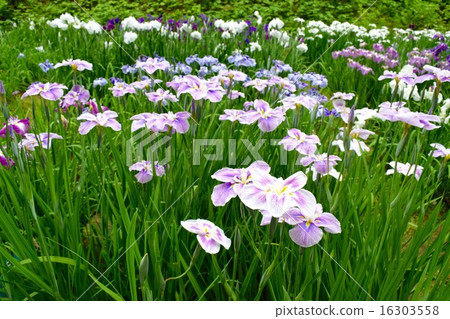 Training Training 16303558