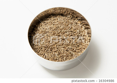 香芹籽孔簡單的白色後面的照片 香芹籽孔簡單的白色後面的照片 16304986