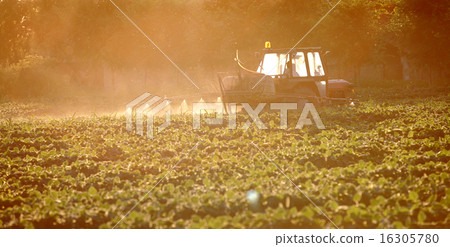 Agriculture soybean field spraying Agriculture soybean field spraying 16305780